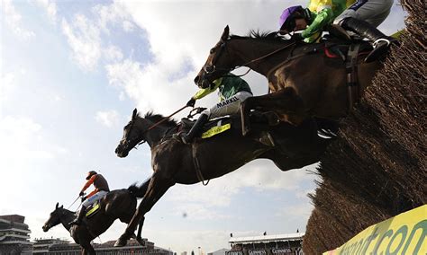 horse racing tips today daily mail|Horse Racing .